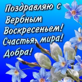 Открытки вербное воскресенье Картинка открытка на вербное воскресенье,с вербным воскресеньем
