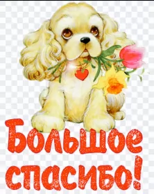 Открытки спасибо Открытки спасибо,благодарю,красивая открытка с надписью спасибо