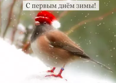 Открытки первый день зимы Открытки с поздравлениями первый день зимы,начало зимы,1 декабря