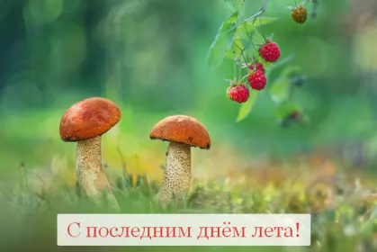Открытки с последним днём лета Открытка последний день лета,с последним днём уходящего лета
