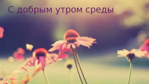 Доброе утро дни недели Открытка с пожеланиями доброго утра среды,с  добрым утром среда.
