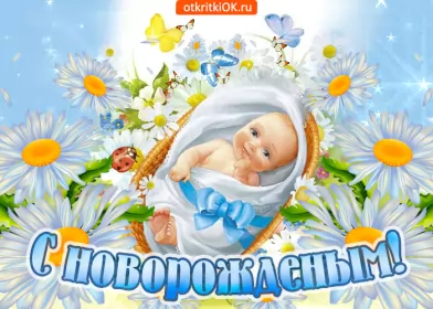 Открытки с новорожденным мальчиком Открытки картинки гиф с новорождённым  мальчиком,поздравления,ромашки