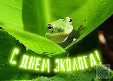 День эколога Красивые открытки на день эколога скачать бесплатно онлайн