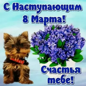 Открытки с наступающим 8 марта Открытки картинки с наступающим праздником 8 марта с женским днём 