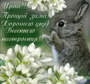 Открытки первый день весны Открытки первый день весны ,с первым весенним днём ,1 марта,кролик