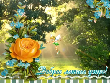 Доброе летнее утро Открытка гиф с добрым летним утром,пожелания доброго утра лета