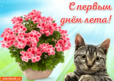 Открытки первый день лета Открытка гиф с первым днём лета,первое июня , с началом лета.