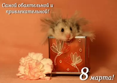 Открытки с 8 марта прикольные Открытки на 8 марта прикольные,смешные с 8 марта поздравления