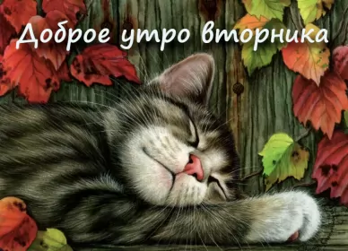 Доброе утро дни недели Открытка красивая доброе утро по дням недели, доброе утро вторника