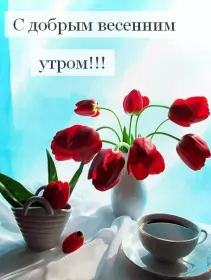 Доброе весеннее утро Открытка доброе весеннее утро,с добрым весенним утром,весеннее утро,красные тюльпаны