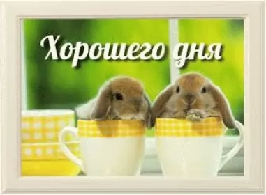  Открытки картинки Хорошего дня