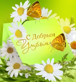 Доброе летнее утро Открытка с добрым летним утром,доброго летнего утра,ромашка и бабочки