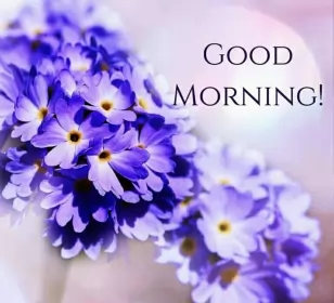 Открытки Good Morning Открытки картинки  доброго утра , доброе утро Good Morning .