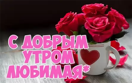 Доброе утро любимая Открытка доброе утро любимая,пожелания доброго утра любимой 