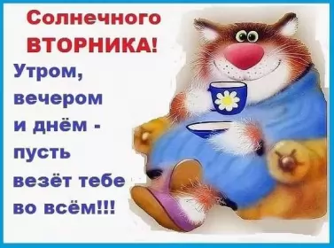 Вторник Жирный кот пьет чай