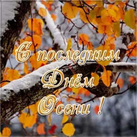 Открытки с последним днём осени Открытка с последним днём осени,последий осенний день ,конец осени