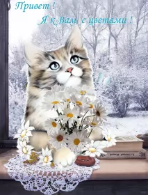 Привет,приветствие Открытка картинка гиф ,мерцающая привет,приветсвие,передать привет