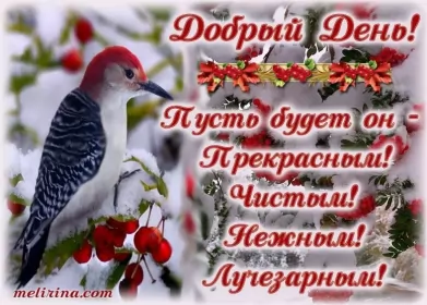 Открытки добрый день Открытка добрый день,картинка пожелания доброго дня,день добрый