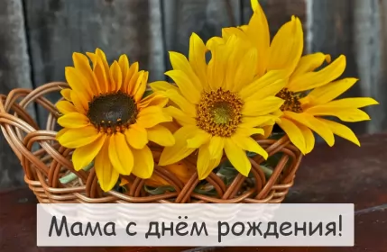 Открытки с днём рождения маме Открытки картинки с днём рождения мама,красивые поздравления маме