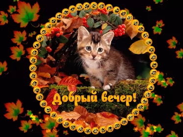 Открытки Добрый вечер Открытки открытка добрый вечер,пожелания доброго,чудесного вечера