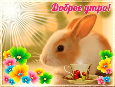 Доброе утро-разное Открытки картинки с добрым утром ,доброе утро,пожелания доброго утра