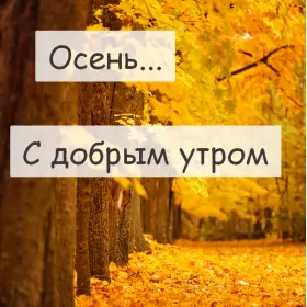 Доброе  осеннее утро Открытки доброго осеннего утра,пожелания доброго утра осени .