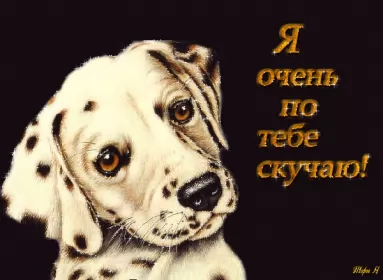 Открытки скучаю Открытка гиф ,мерцающая скучаю,скучаю по тебе,скучаю сильно.