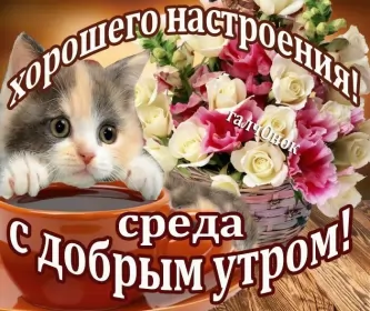 Доброе утро дни недели Открытка с пожеланиями доброго утра среды,с  добрым утром среда.