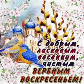 Открытки вербное воскресенье Открытка картинка с вербным воскресеньем,на вербное,с вербным