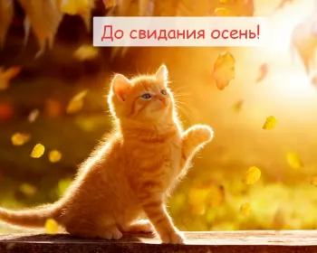 Открытки с последним днём осени Открытка с последним днём осени,последий осенний день ,конец осени