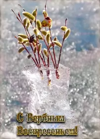 Открытки вербное воскресенье Открытки гиф, мерцающие с  вербным , на вербное воскресенье 