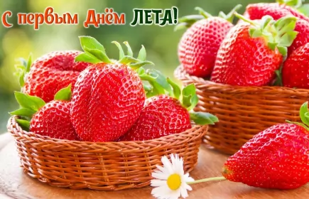 Открытки первый день лета Открытка первый день лета, с первым днём лета,поздравления с летом