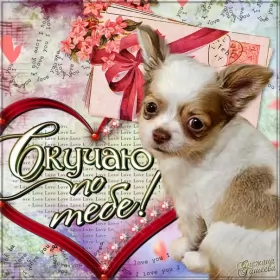 Открытки скучаю Открытки скучаю я скучаю по тебе,картинки с надписью скучаю .