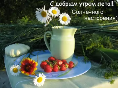 Доброе летнее утро Открытка с добрым летним утром,доброго летнего утра,летнее утро