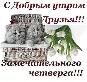 Доброе утро дни недели Открытка,картинка доброе утро четверга,яркие открытки четверг доброе утро