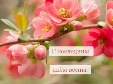 Открытки с последним днём весны Открытки с последним днём весны , с последним весенним днём.