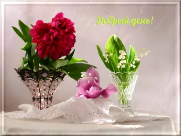 Открытки добрый день Открытка гиф добрый день,мерцающая картинка пожелания доброго дня 