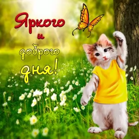 Открытки добрый день Открытка добрый день,картинка пожелания доброго дня,день добрый