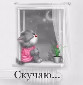 Открытки скучаю Открытка с надписью скучаю,красивая открытка скучаю,очень скучаю