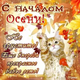 Открытки первый день осени Открытка с первым днём осени,с началом осени,с наступлением осени,котёнок