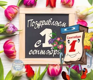 Открытки на 1 сентября день знаний Открытка 1 сентября день знаний , поздравления с 1 сентября,тюльпаны