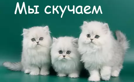 Открытки скучаю Открытка с надписью скучаю,красивая открытка скучаю,очень скучаю