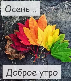 Доброе  осеннее утро Открытки доброго осеннего утра,пожелания доброго утра осени,разноцветные листья
