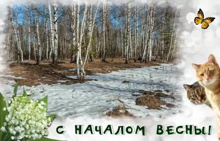 Открытки первый день весны Открытки первый день весны ,с первым весенним днём ,1 марта,коты