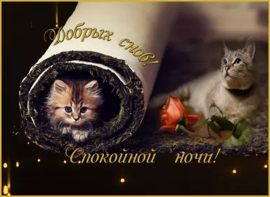 Открытки спокойной ночи Открытки спокойной ночи,спокойного сна,пожелания спокойной ночи