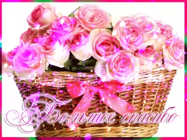 Открытки спасибо Открытка гиф,мерцающая спасибо,открытка гиф с надписью спасибо