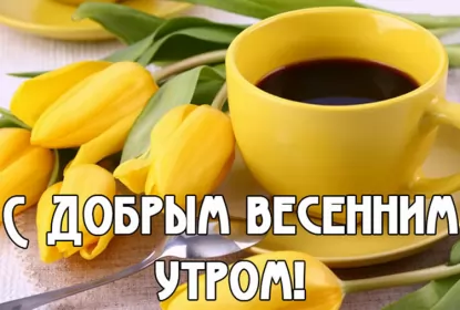 Доброе весеннее утро Открытка доброе весеннее утро,с добрым весенним утром,весеннее утро,жёлтые тюльпаны