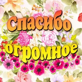 Открытки спасибо Открытки спасибо,благодарю,красивая открытка с надписью спасибо