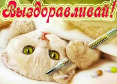 Открытки выздоравливай Открытки выздоравливай ,пожелания скорейшего выздоравления .