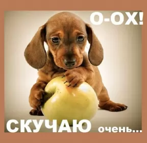 Открытки скучаю Открытки скучаю я скучаю по тебе,картинки с надписью скучаю .